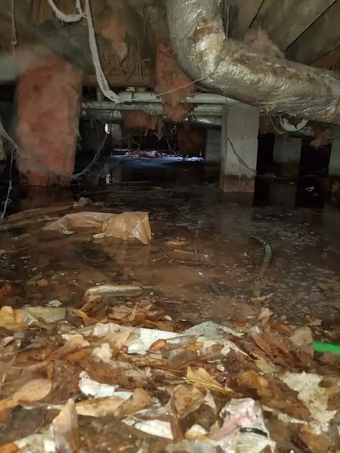 Crawl space flood assessment for Leak Detection & Repair in Philadelphia