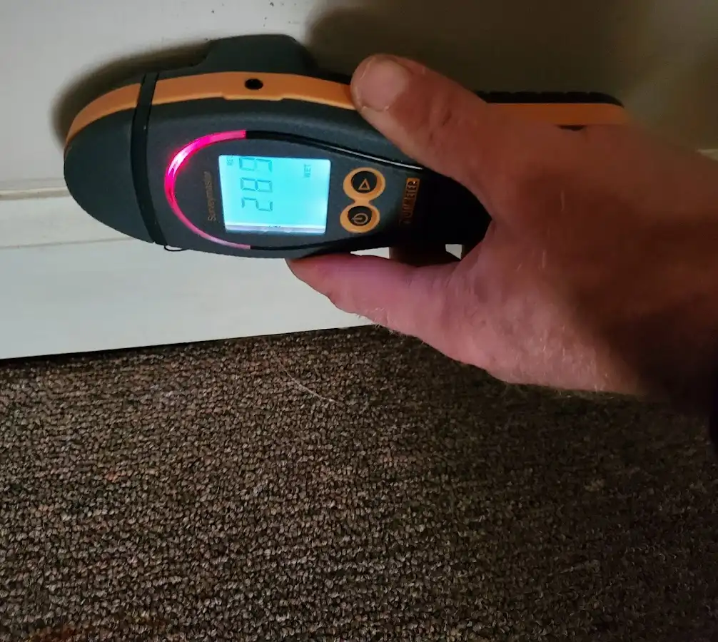 Moisture detection at baseboard during Sewage Cleanup & Sanitation in Philadelphia